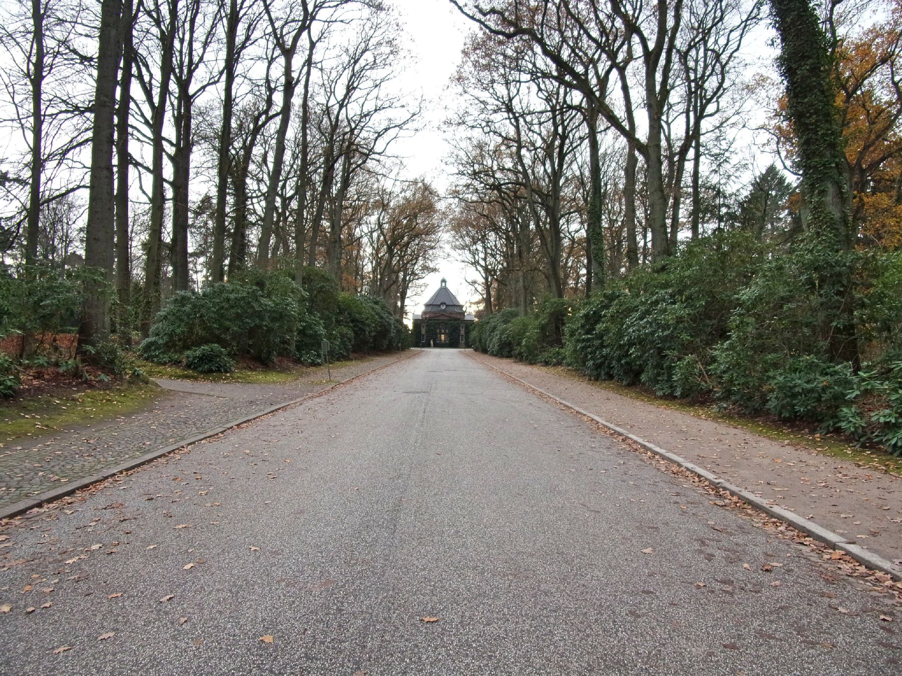 Baumgesäumte Allee mit hohen Sträuchern und einem spitzen Dach in der Ferne auf Friedhof Bergedorf