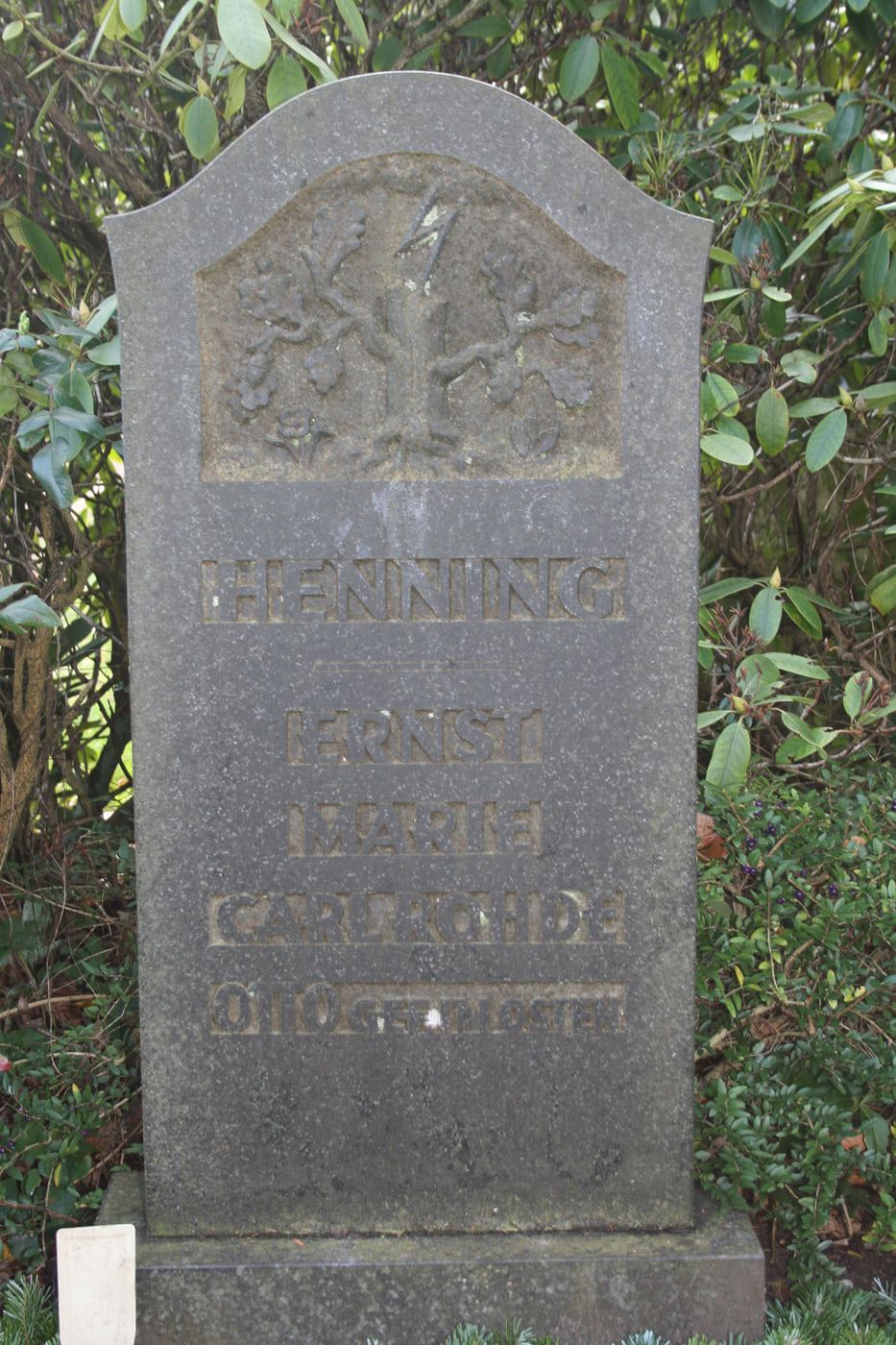 Grabstätte von Ernst Henning auf Friedhof Bergedorf