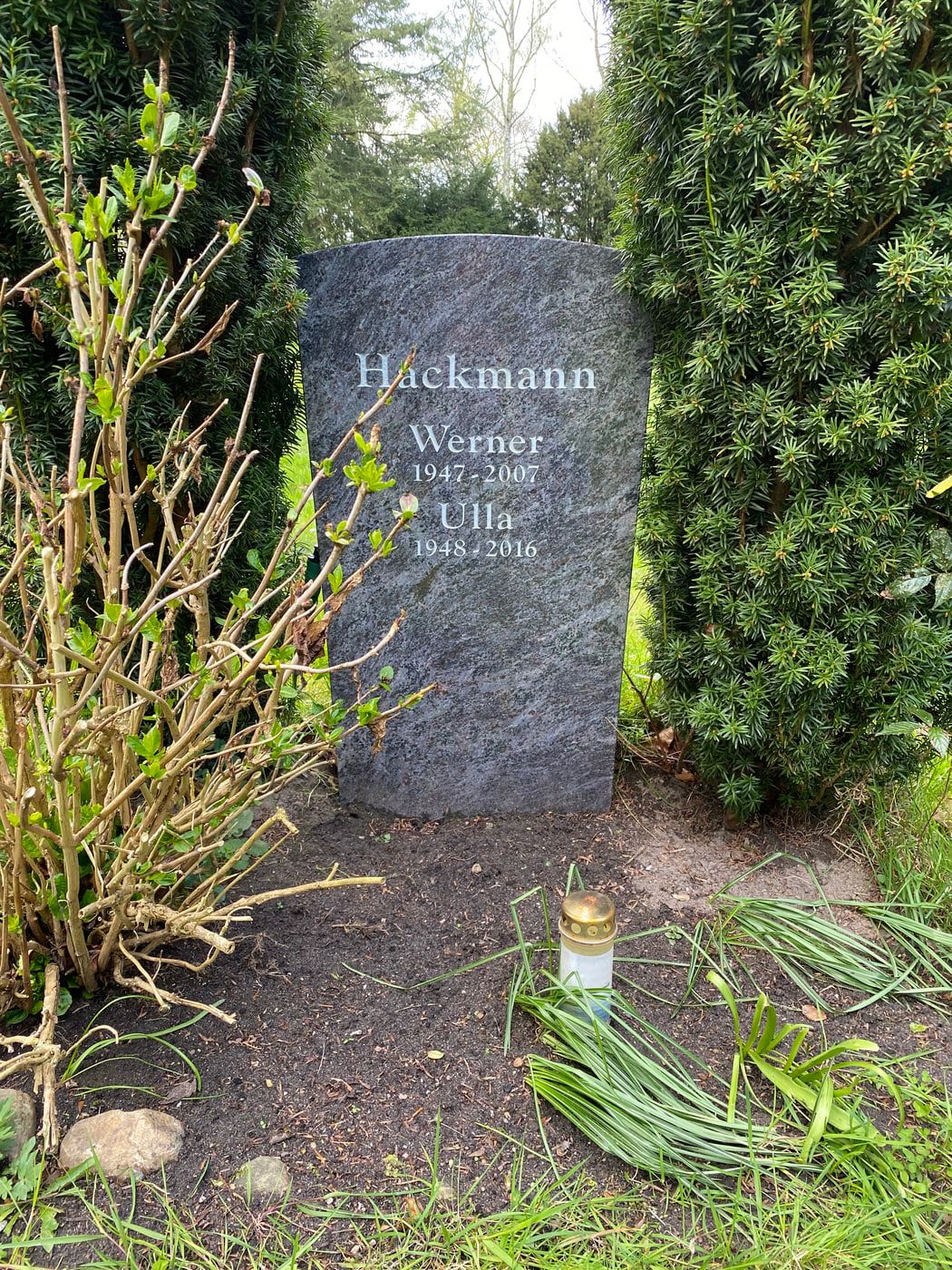Grabstätte von Werner Hackmann auf Friedhof Bergedorf